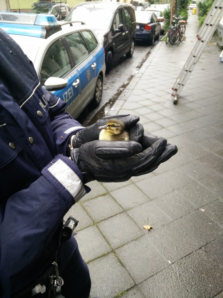 Foto: Polizei