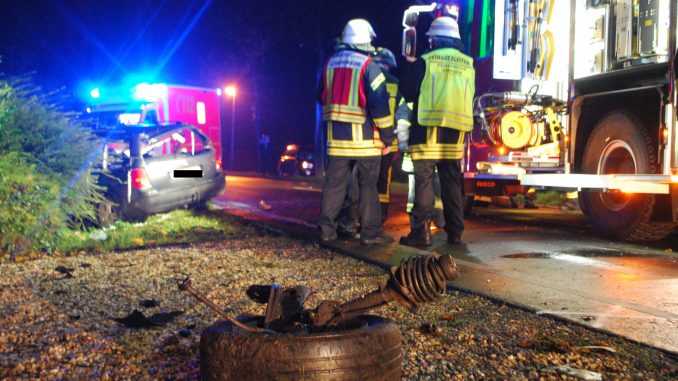 Ahlen VIE BU Baum Boisheimer Straße 004n