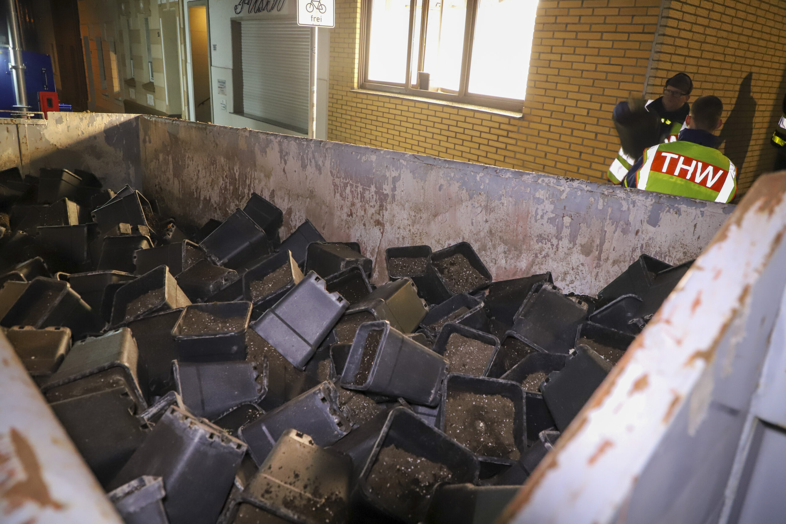 03.10.2024_Drogenplantage_in_Waldhausen_gefunden37